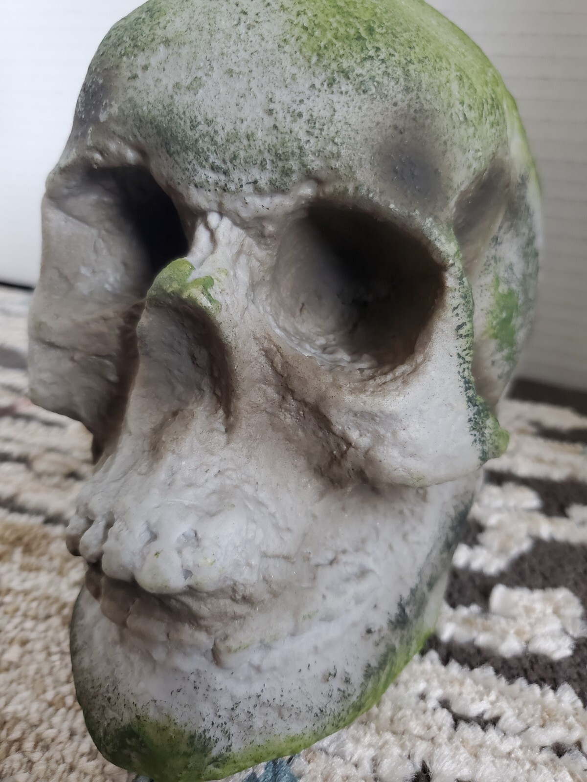 SPIRIT HALLOWEEN Store Exclusive 2020 corpse Prop SKULL from Jack’s Cave wicked
