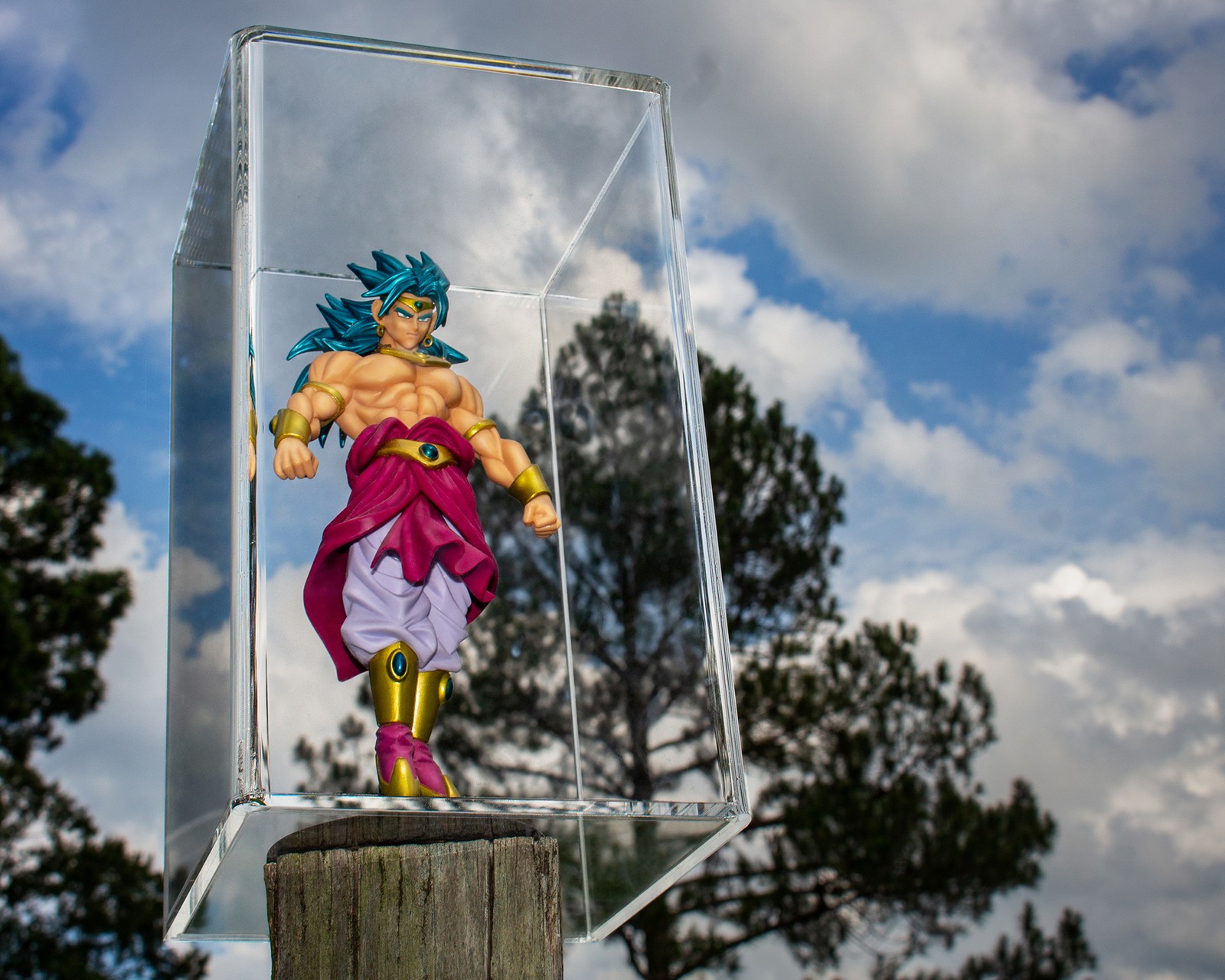 Bobblehead, Figurine, or Collectible – Clear Acrylic Display Case (A016-CB)