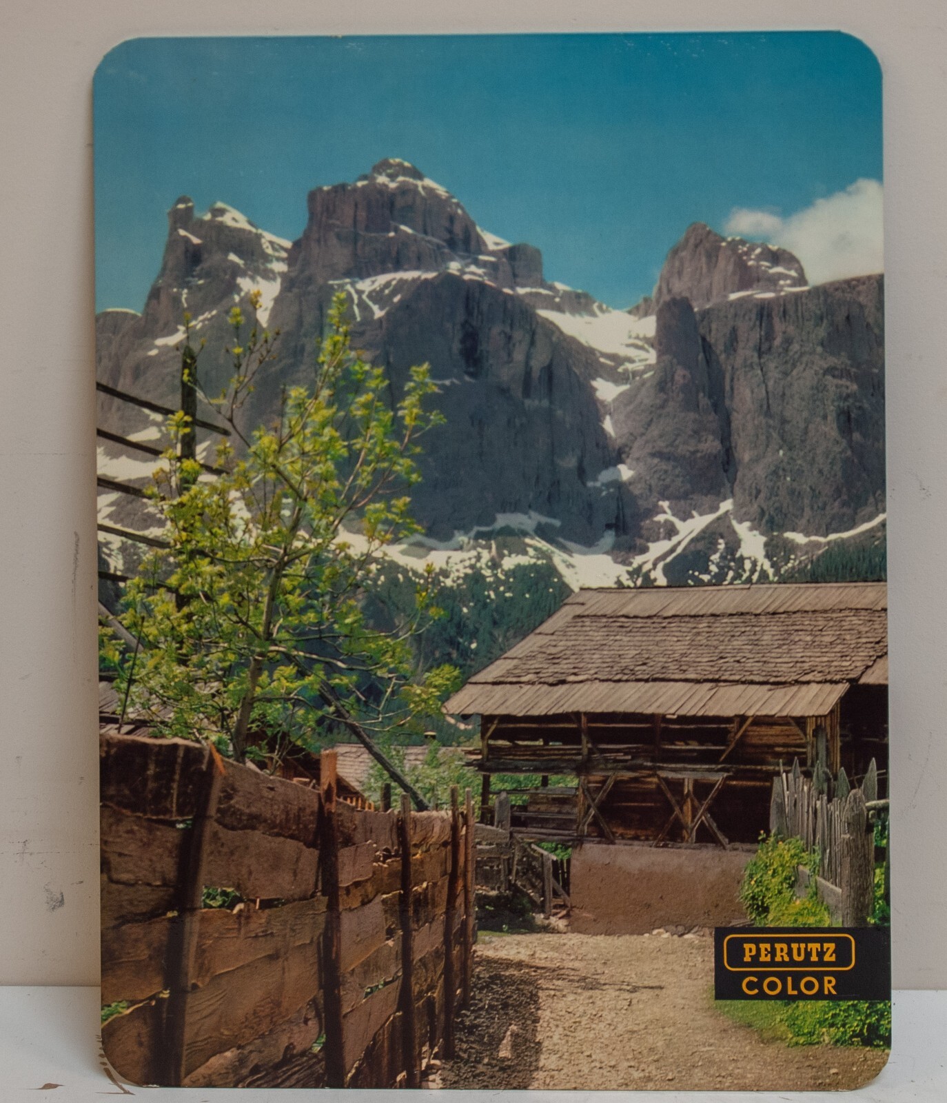 Rare 1960s Perutz Color Film Camera Store Advertising Display Photo 18″ x 24″