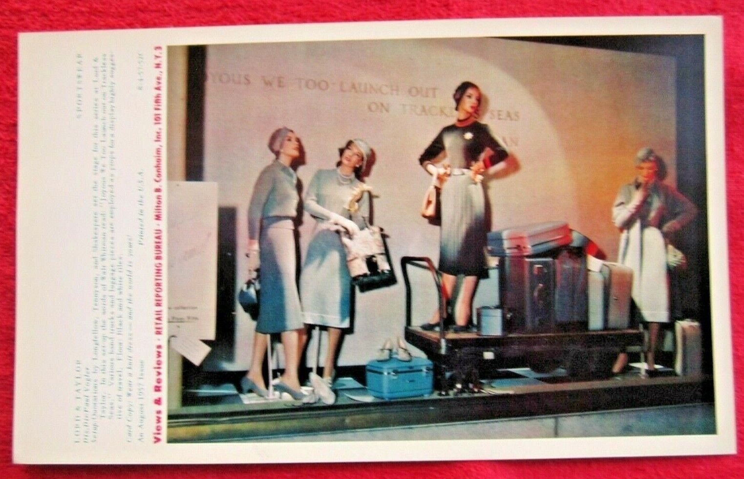 1957 LORD & TAYLOR STORE WINDOW DISPLAY KNIT SPORTSWEAR PHOTOGRAPH PRINT 41