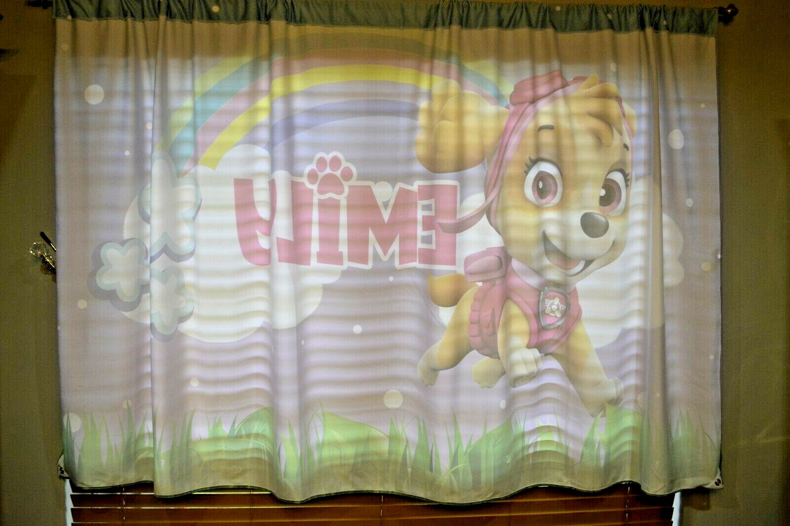 Paw Patrol Skye Fabric custom banner 57 x 97 Emily