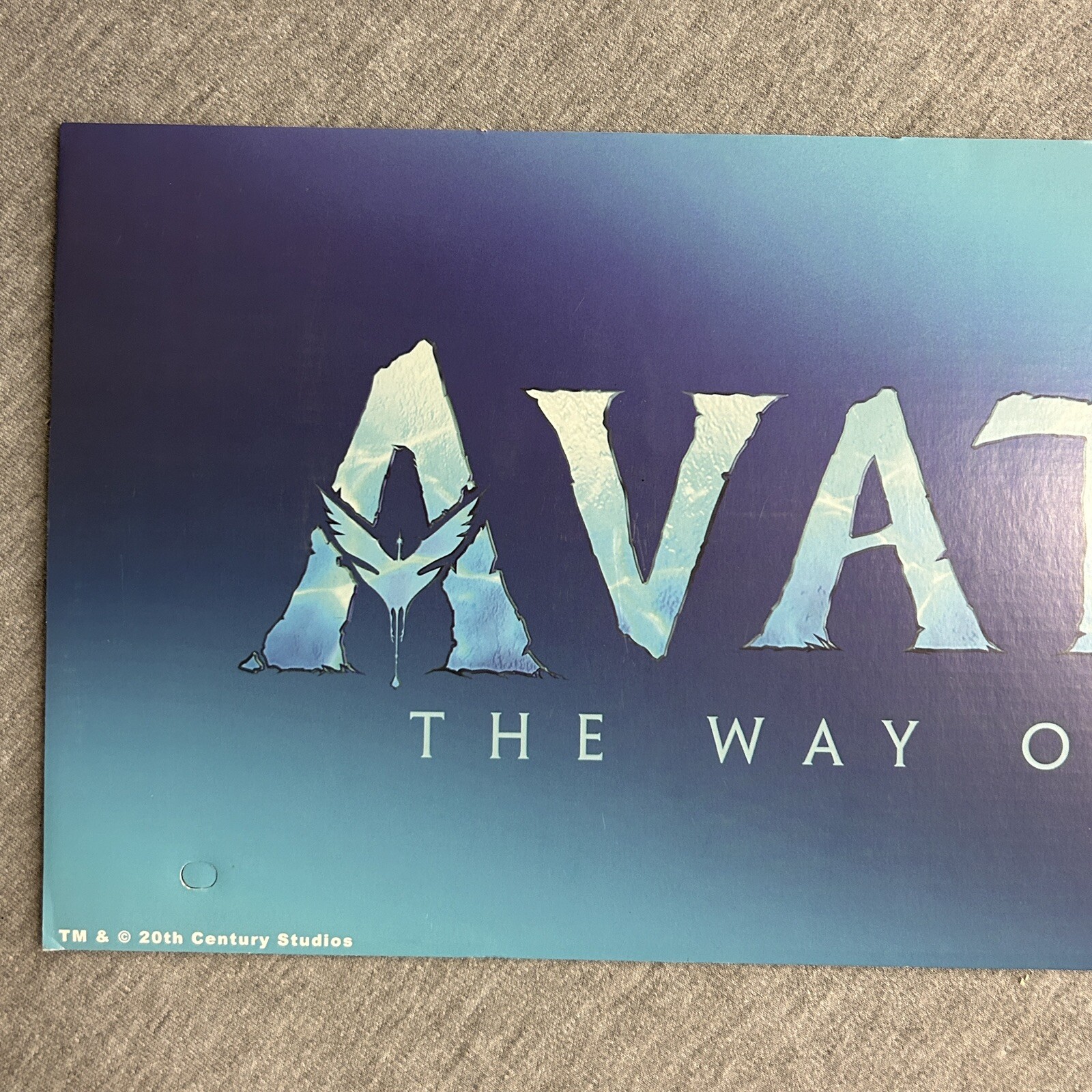 2024 Spirit Halloween Display End Cap 24″ x 8″ – Avatar The Way of Water
