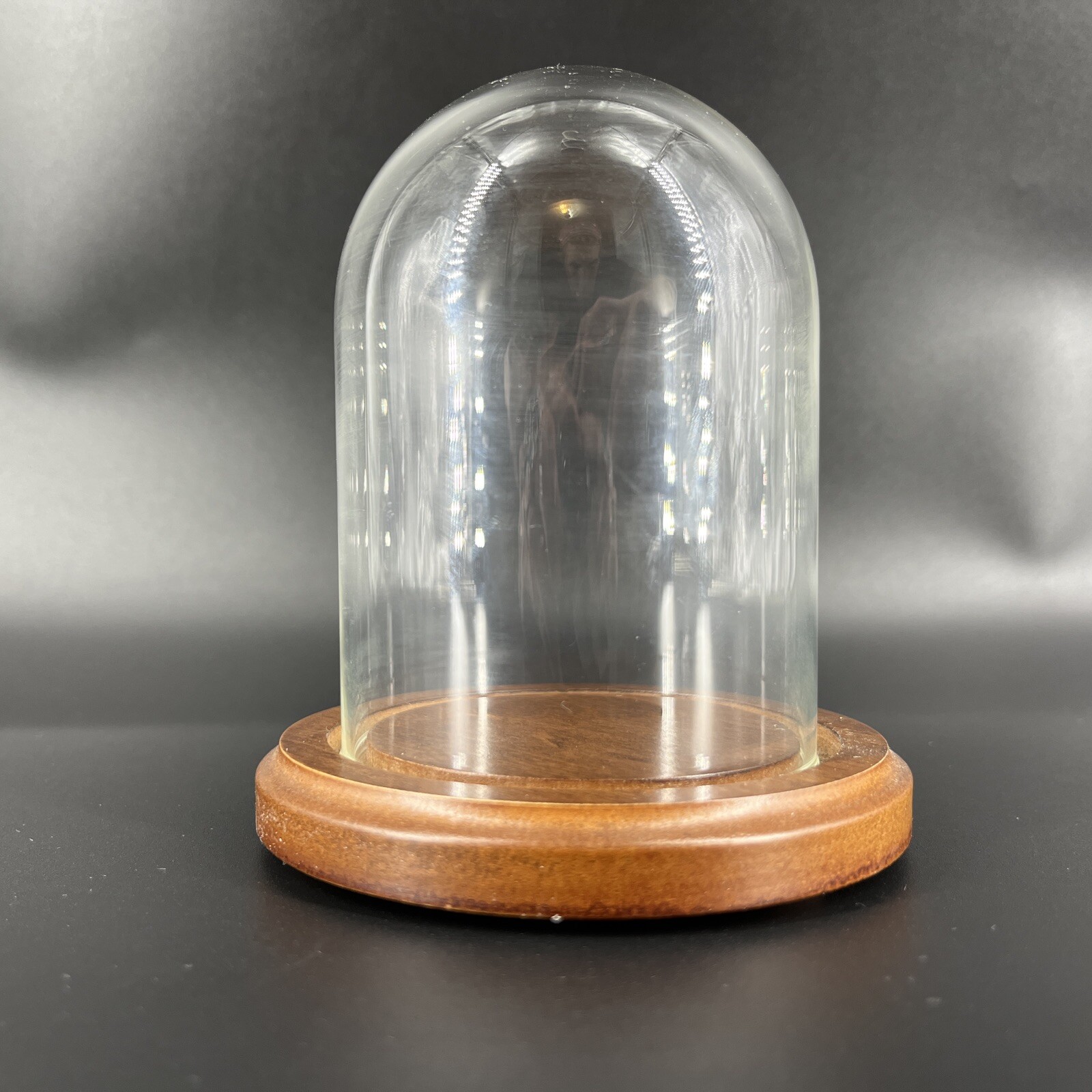 Vintage Glass Dome Wood Base Display Case Made in Taiwan Bard’s