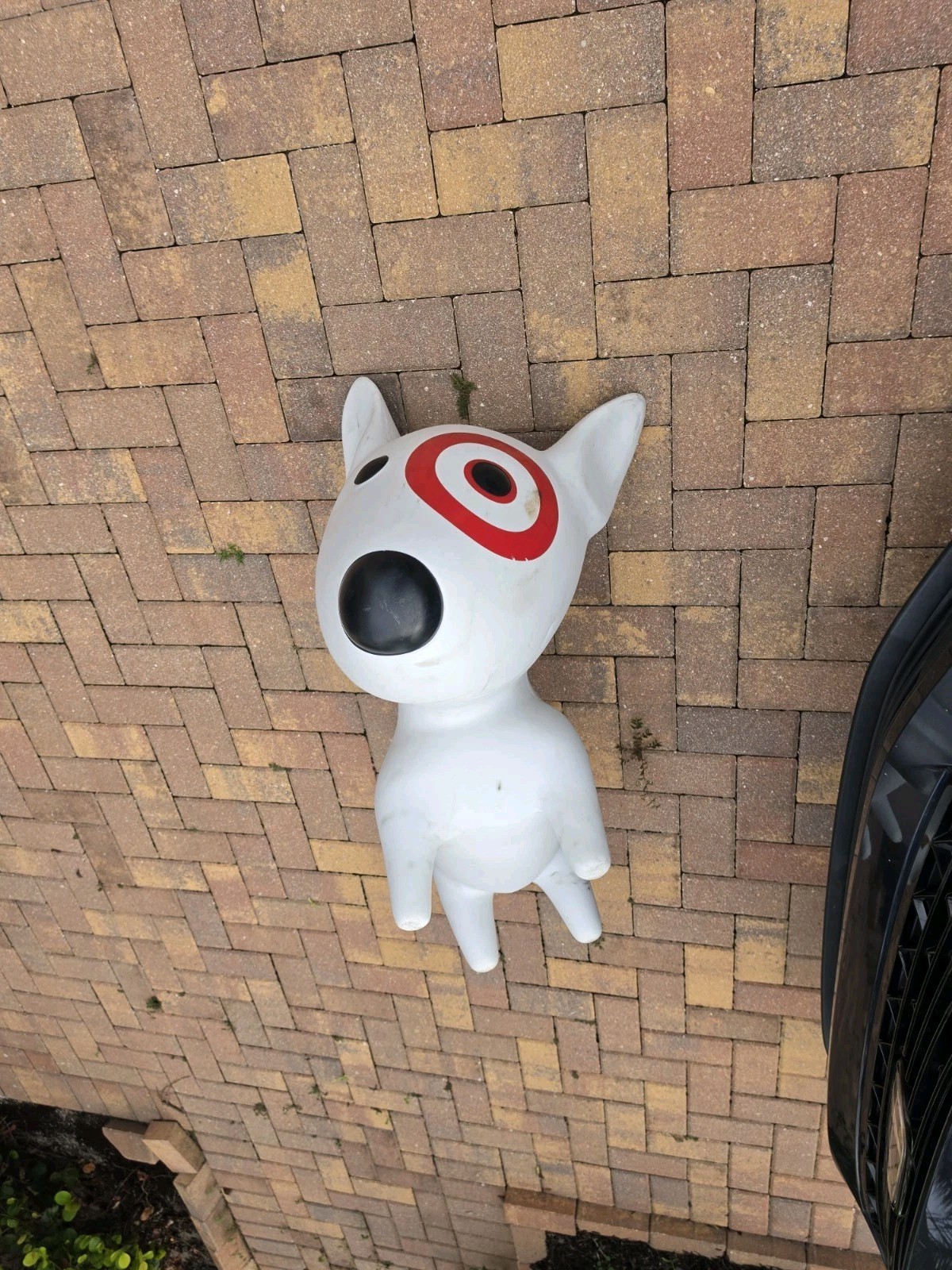 Bullseye Target Dog Mascot Giant Statue Store Display Mannequin Collectible READ