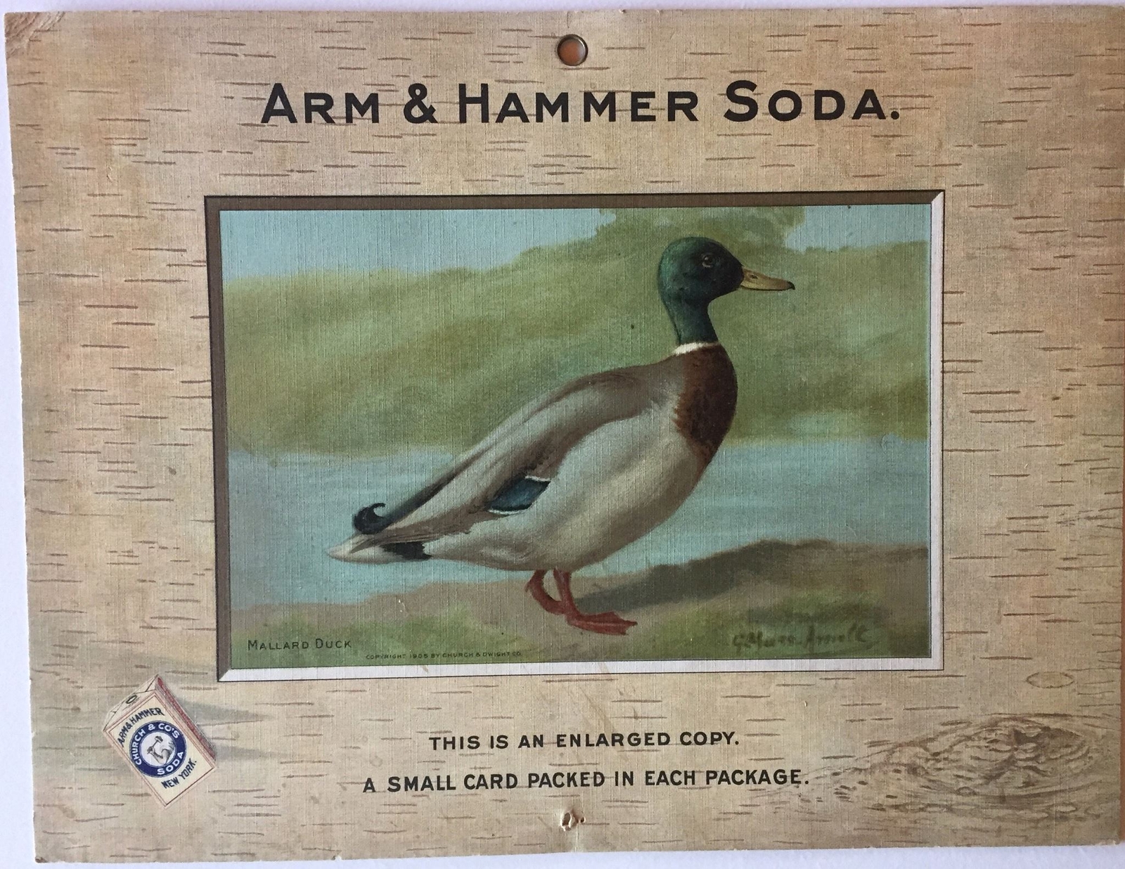 Birds – Arm & Hammer Advertising Store Display Card Sign Mallard Duck J3 Game Bi