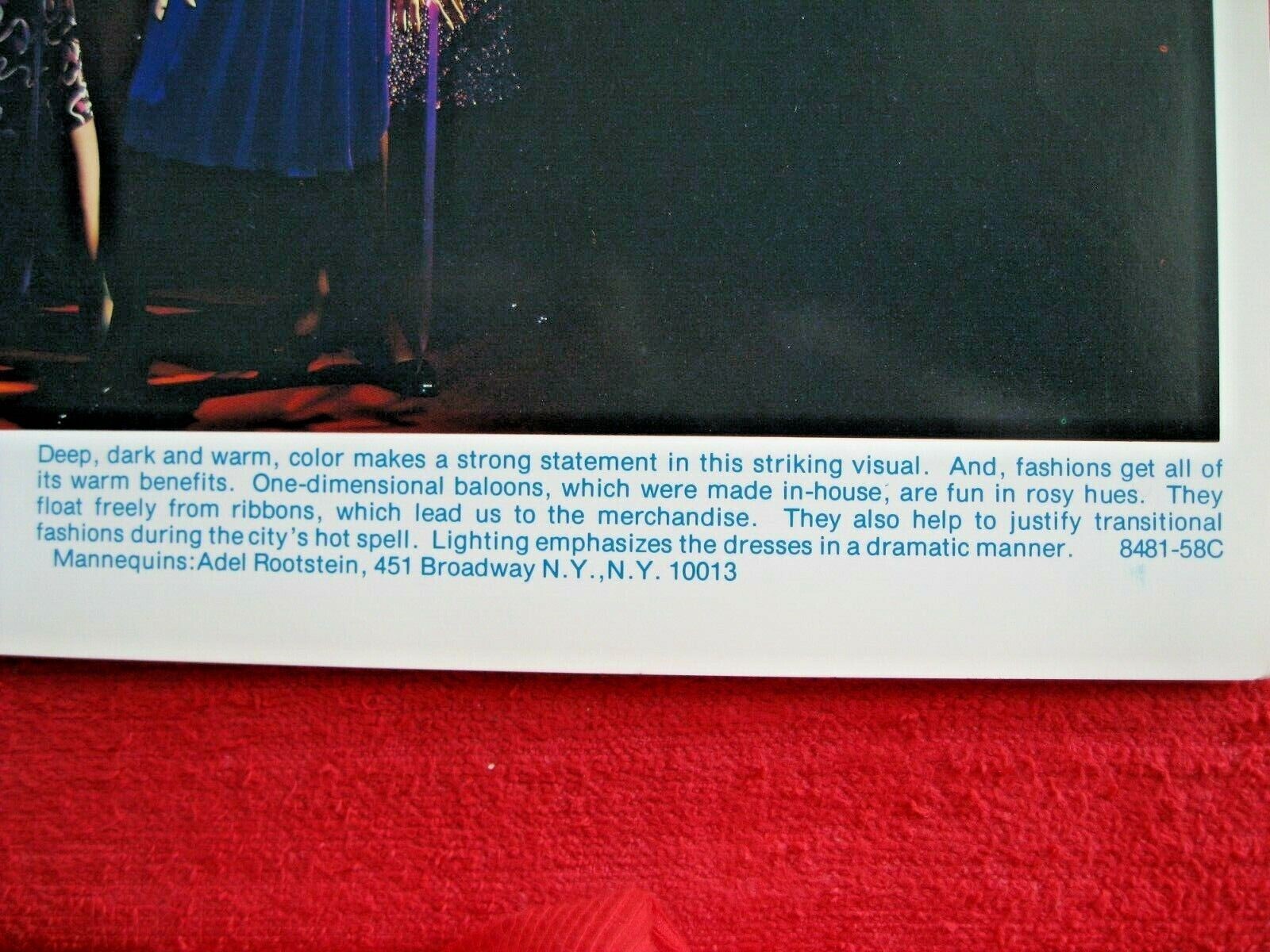 1981 LANE BRYANT, NY STORE WINDOW DISPLAY DEEP, DARK & WARM PHOTOGRAPH PRINT #98
