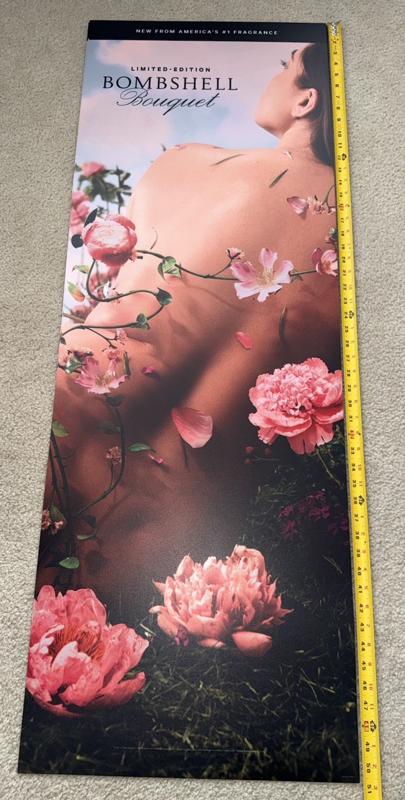 Victoria’s Secret Pink Promo Poster Rare!