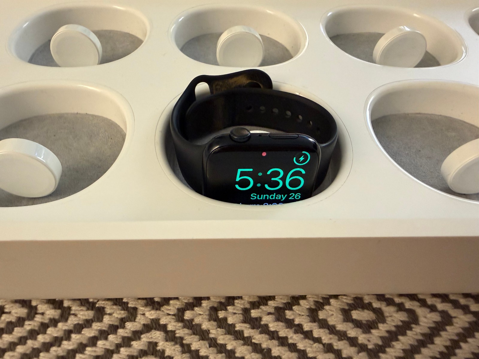 Genuine Apple Watch Magnetic Charging Try-On Case A1668 Retail Store Display