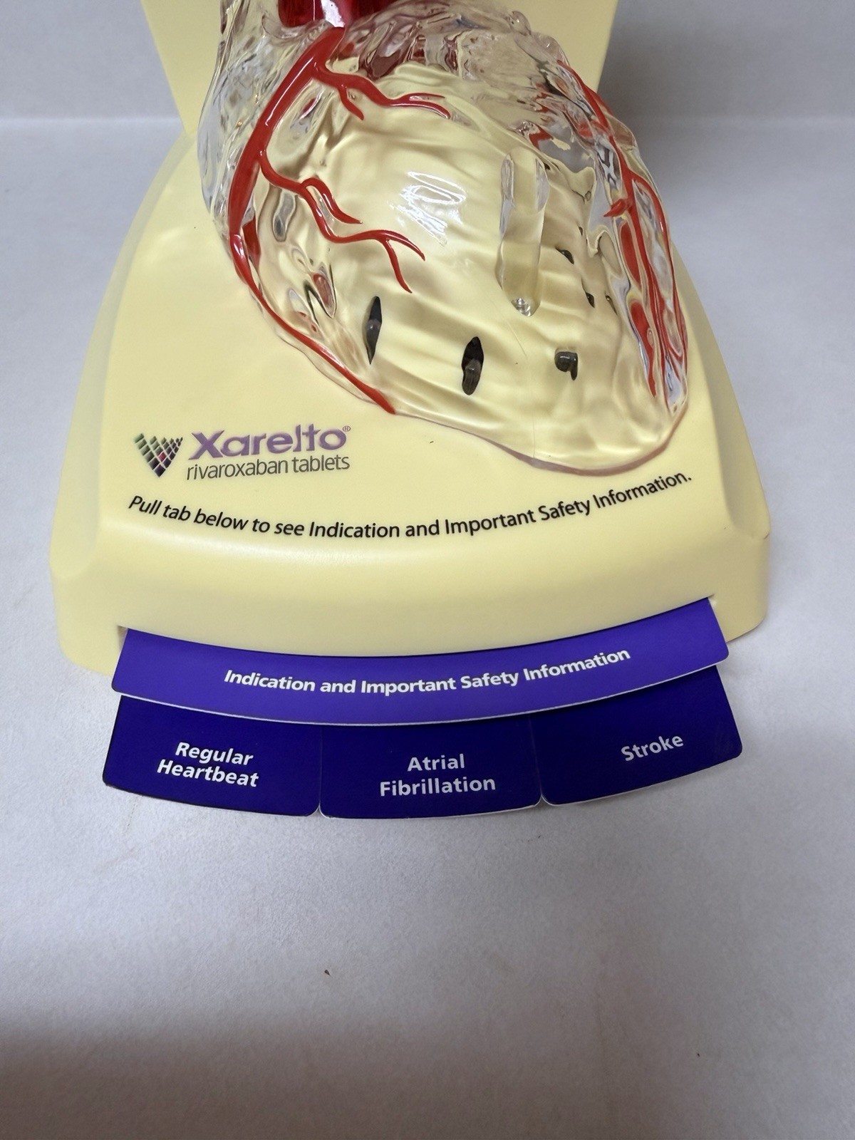 Xarelto Pharmaceutical Advertising 3D Human Heart/brain Lighted Display Model