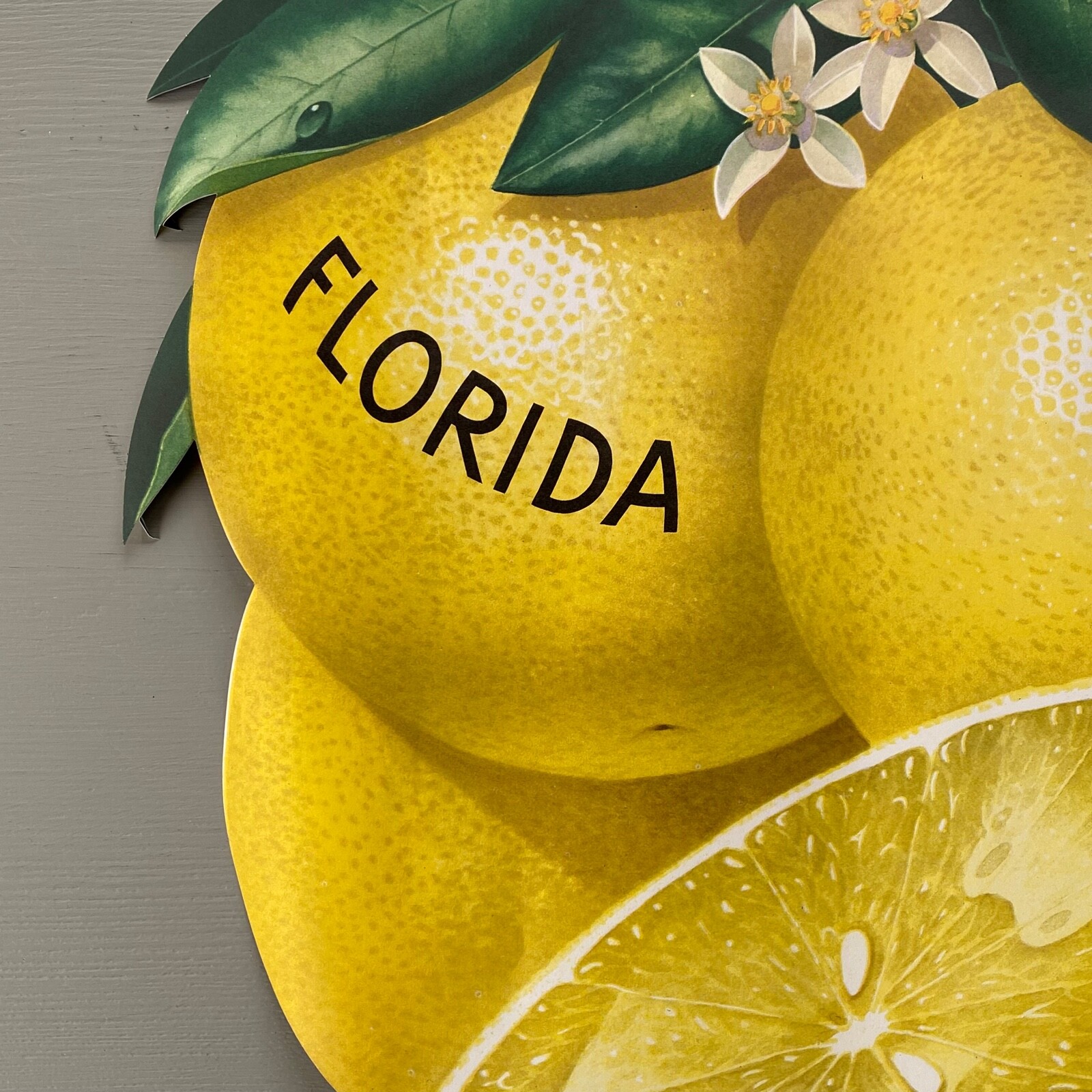 Vintage Florida Lemons Store Display Poster Yellow Fruit Die Cut Double Sided