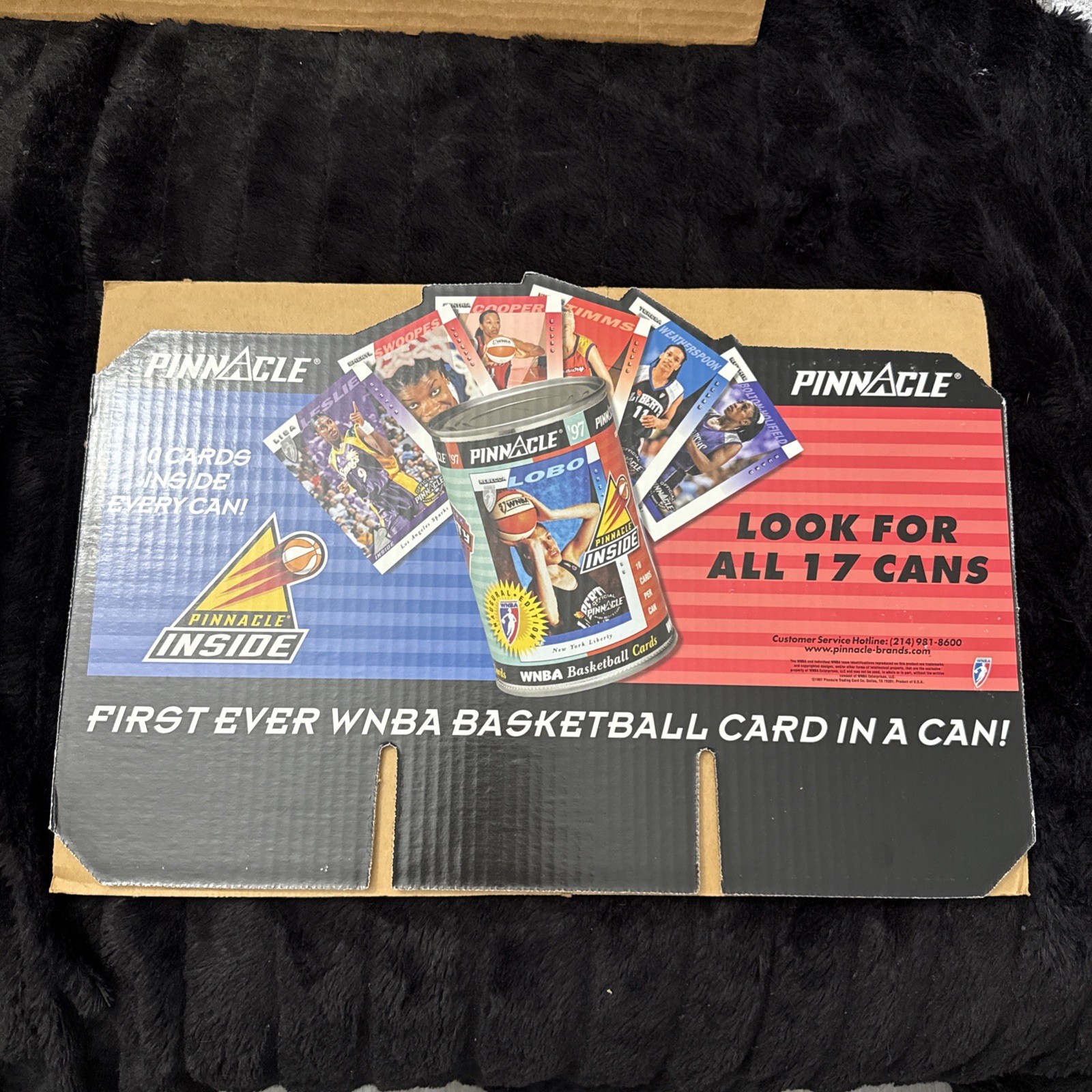 Pinnacle WNBA 1997 Pinnacle Inside 18” X 12” Cardboard Store Display Header