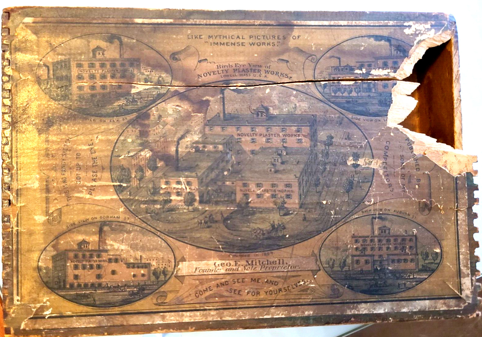 1880 Mitchell’s Improved Perforated BELLADONNA PLASTERS GRAPHIC ADVERTISING BOX
