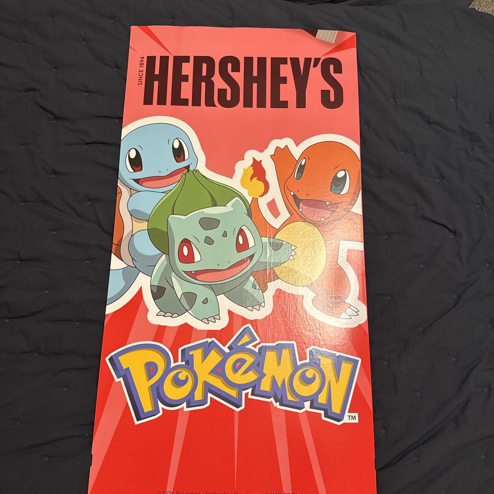 Pokemon Hersheys 43 Inch Tall Poster Board Dual Sides