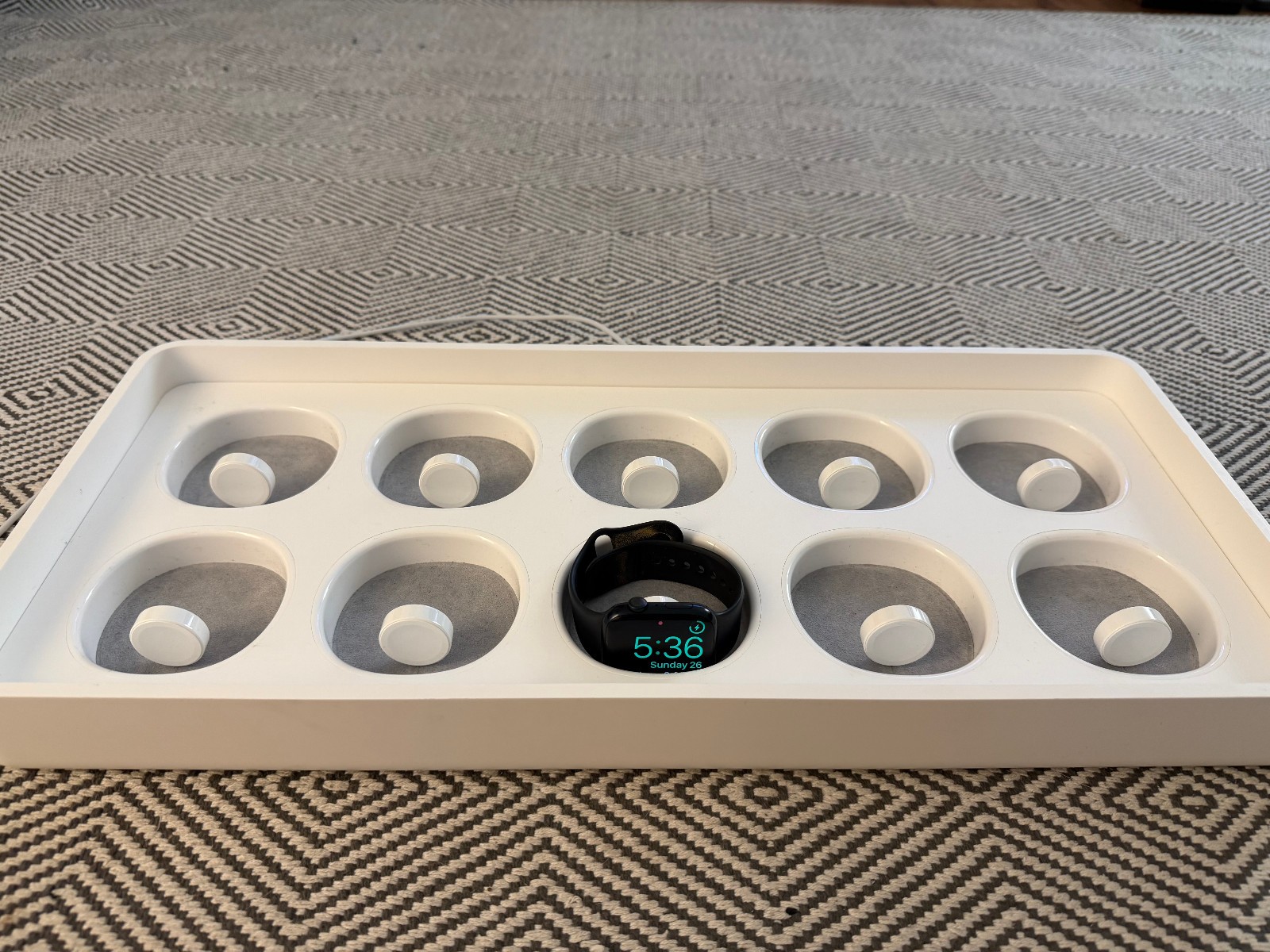 Genuine Apple Watch Magnetic Charging Try-On Case A1668 Retail Store Display