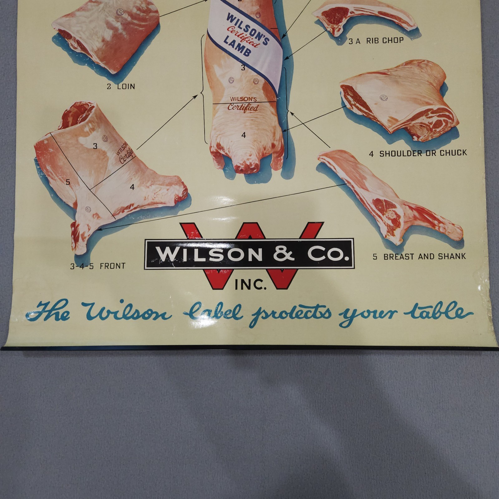 Vintage 1940s Wilson & Co. Lamb Cuts Chart Meat Poster 34½ x 22½
