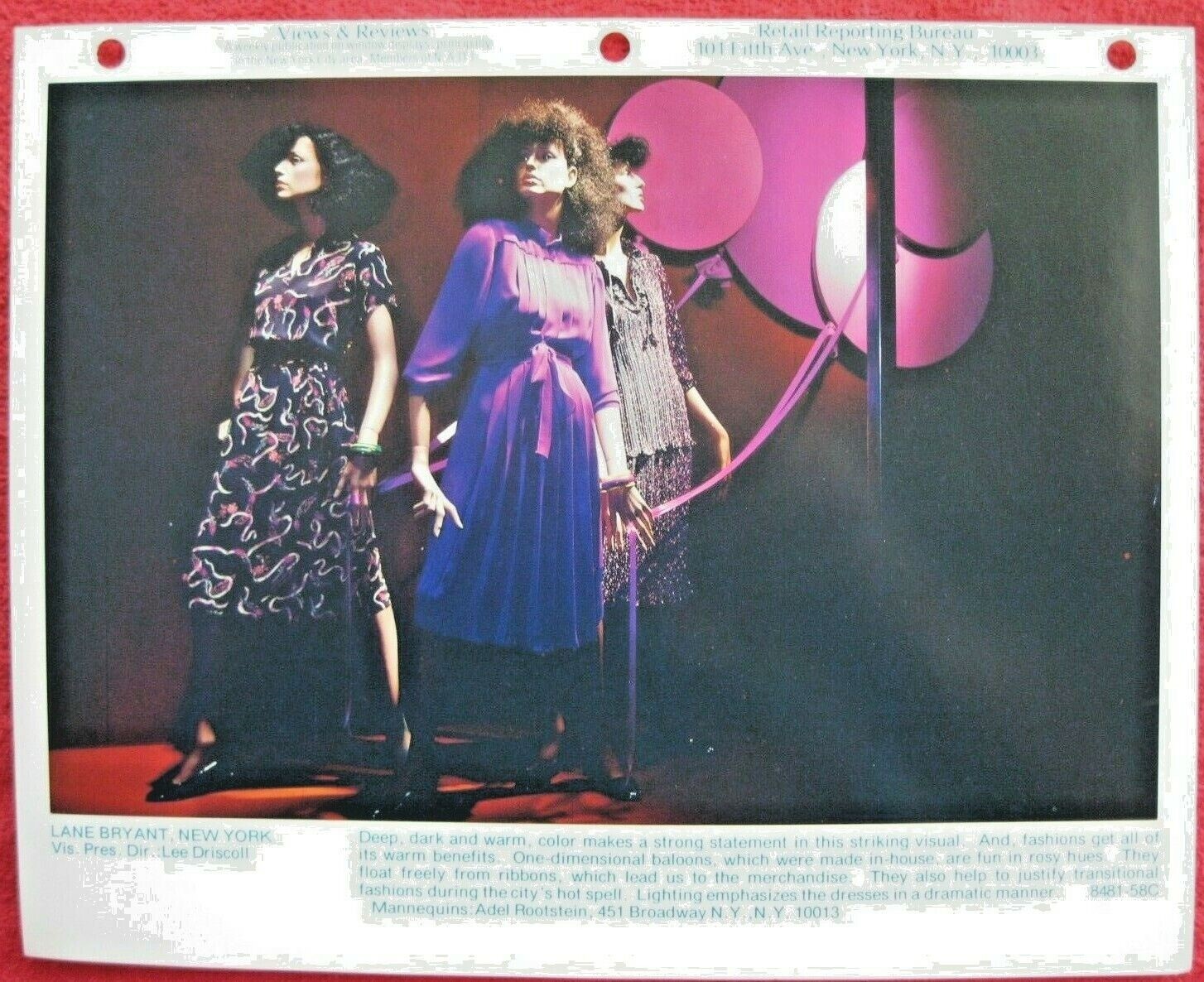 1981 LANE BRYANT, NY STORE WINDOW DISPLAY DEEP, DARK & WARM PHOTOGRAPH PRINT #98
