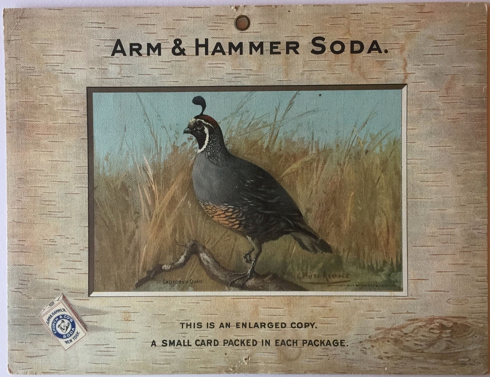 Birds – Arm & Hammer Advertising Card Sign California Quail J3 Game Birds