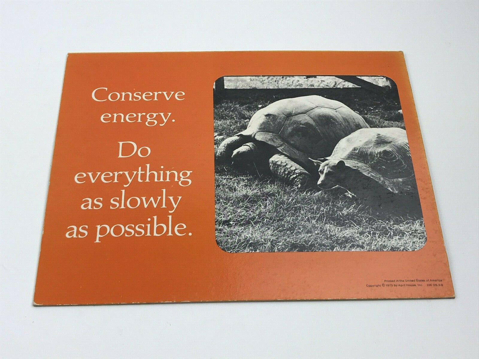 1975 Store Display April House “Conserve Energy. Do Everything As Slowly As P…
