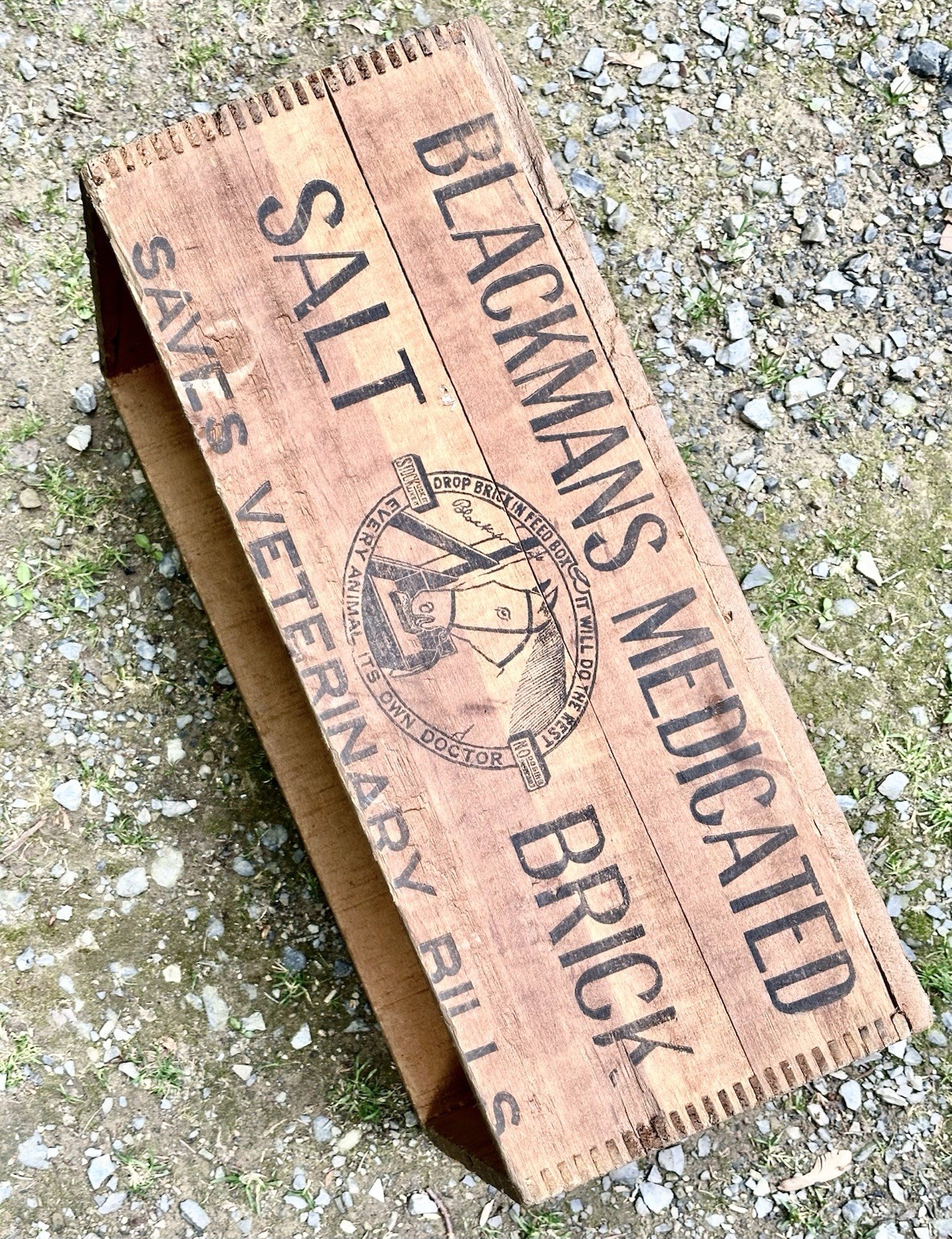 RARE Old Veterinary Horse Blackman Medicated Salt Brick Wood Box Chattanooga TN