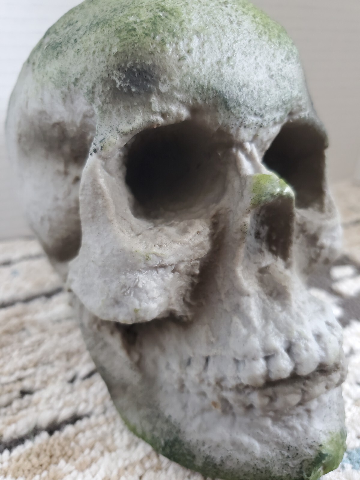 SPIRIT HALLOWEEN Store Exclusive 2020 corpse Prop SKULL from Jack’s Cave wicked