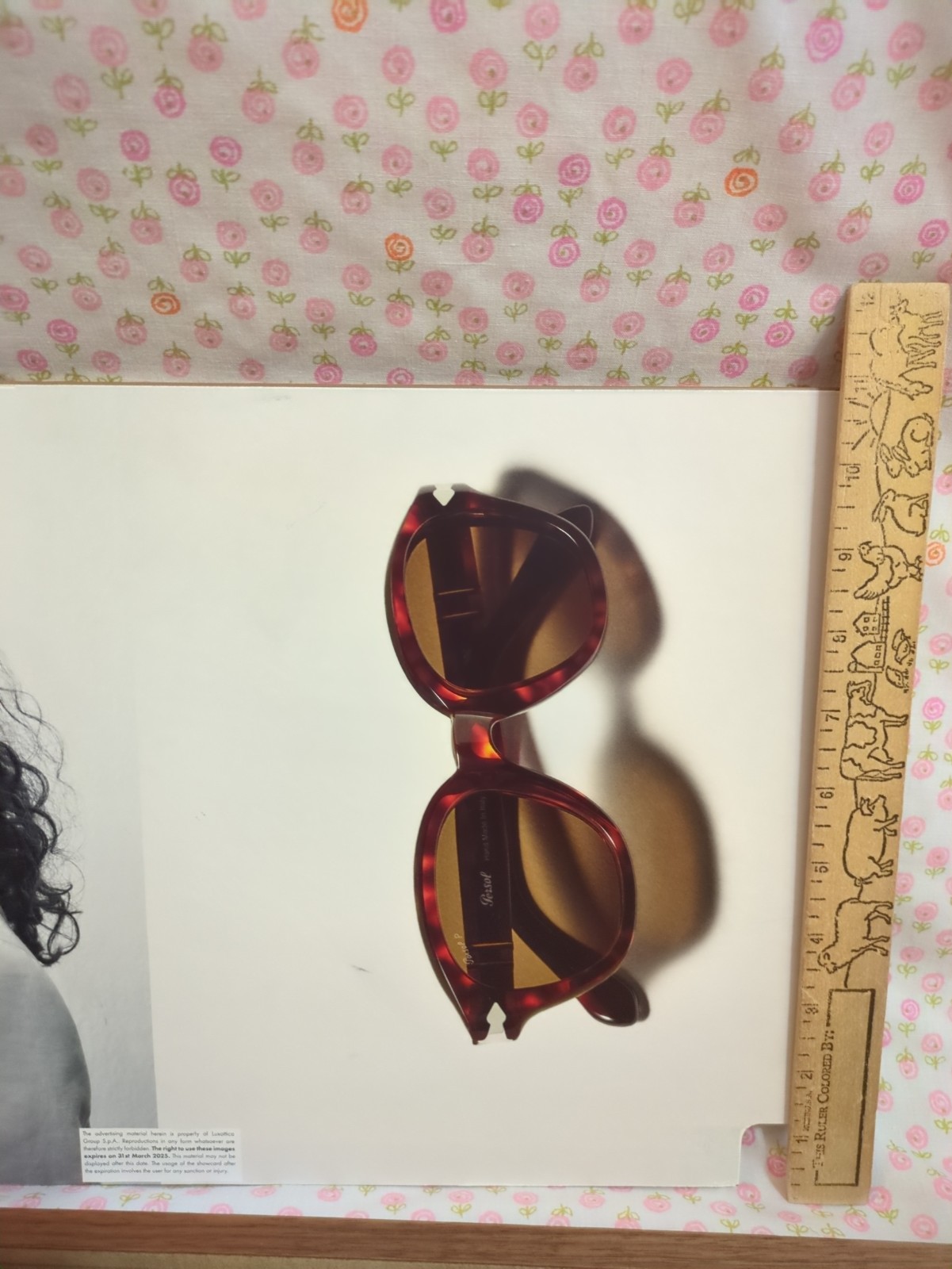 Persol Sunglasses Collectors Special Limited Edition Store Glasses Display Large