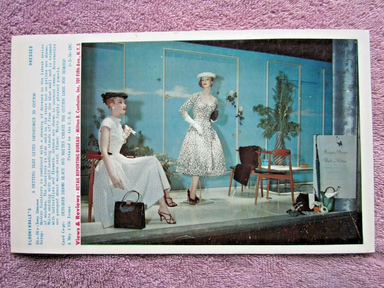 1956 BLOOMINGDALE’S STORE WINDOW DISPLAY SUMMER COTTON PHOTOGRAPH PRINT #202