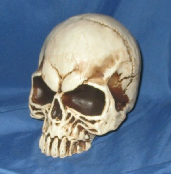 SPIRIT HALLOWEEN Store Exclusive 2020 Display Prop SKULL from Jack’s Cave