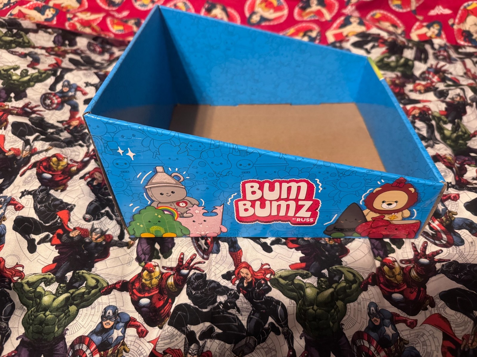 JAZWARES BUMBUMZ WIZARD OF OZ STORE DISPLAY BOX FOR COLLECTIBLES RARE NEW