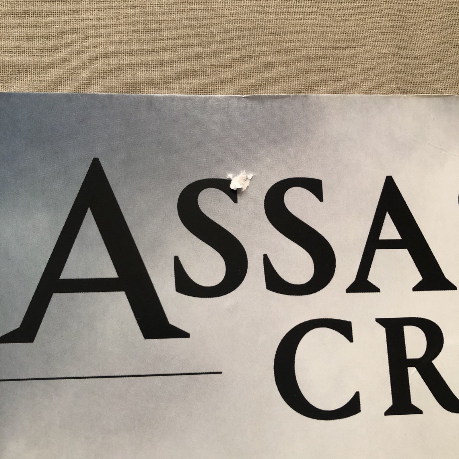 ASSASSIN’S CREED VALHALLA Video Game Retailer Store Display Promo Sign Signage