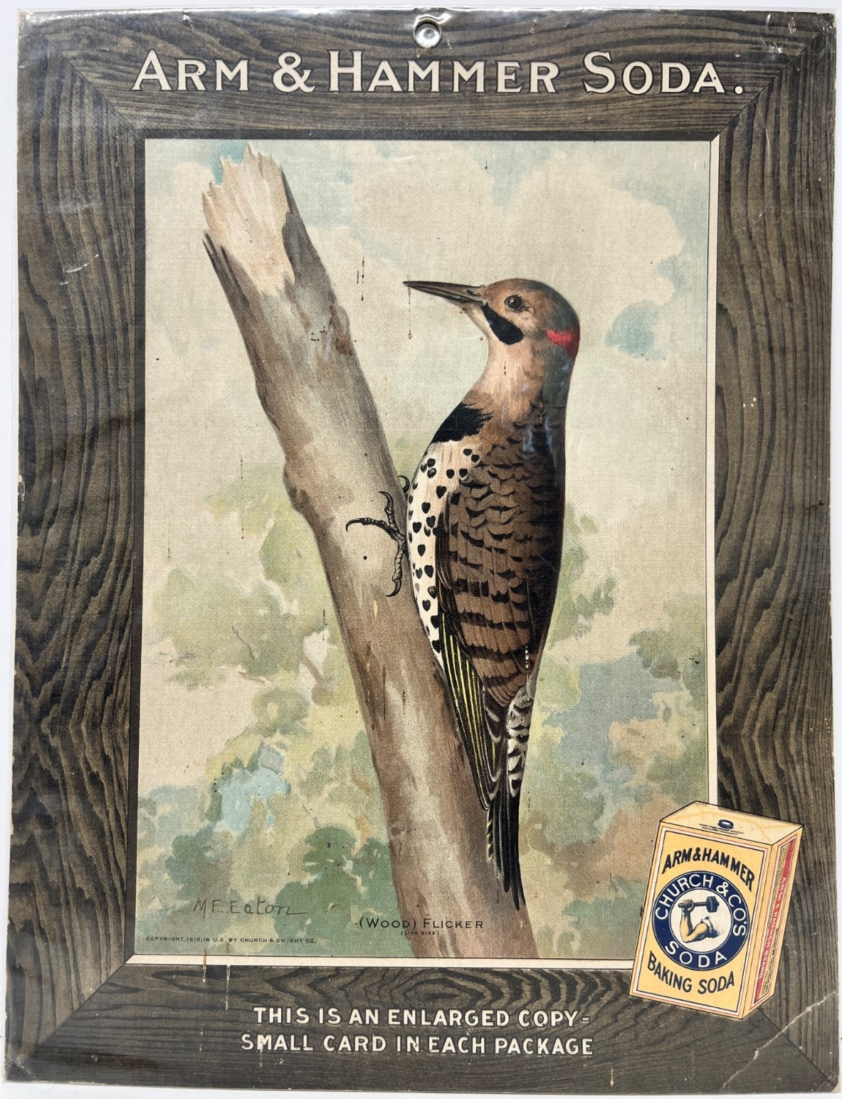 1915 Arm & Hammer Baking Soda Church Co. Flicker Bird Store Display Poster LG
