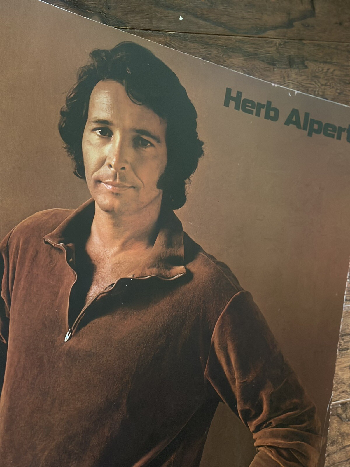 Herb Alpert Store Display A&M Records Album Promo Cardboard Rare Find 28” Stand