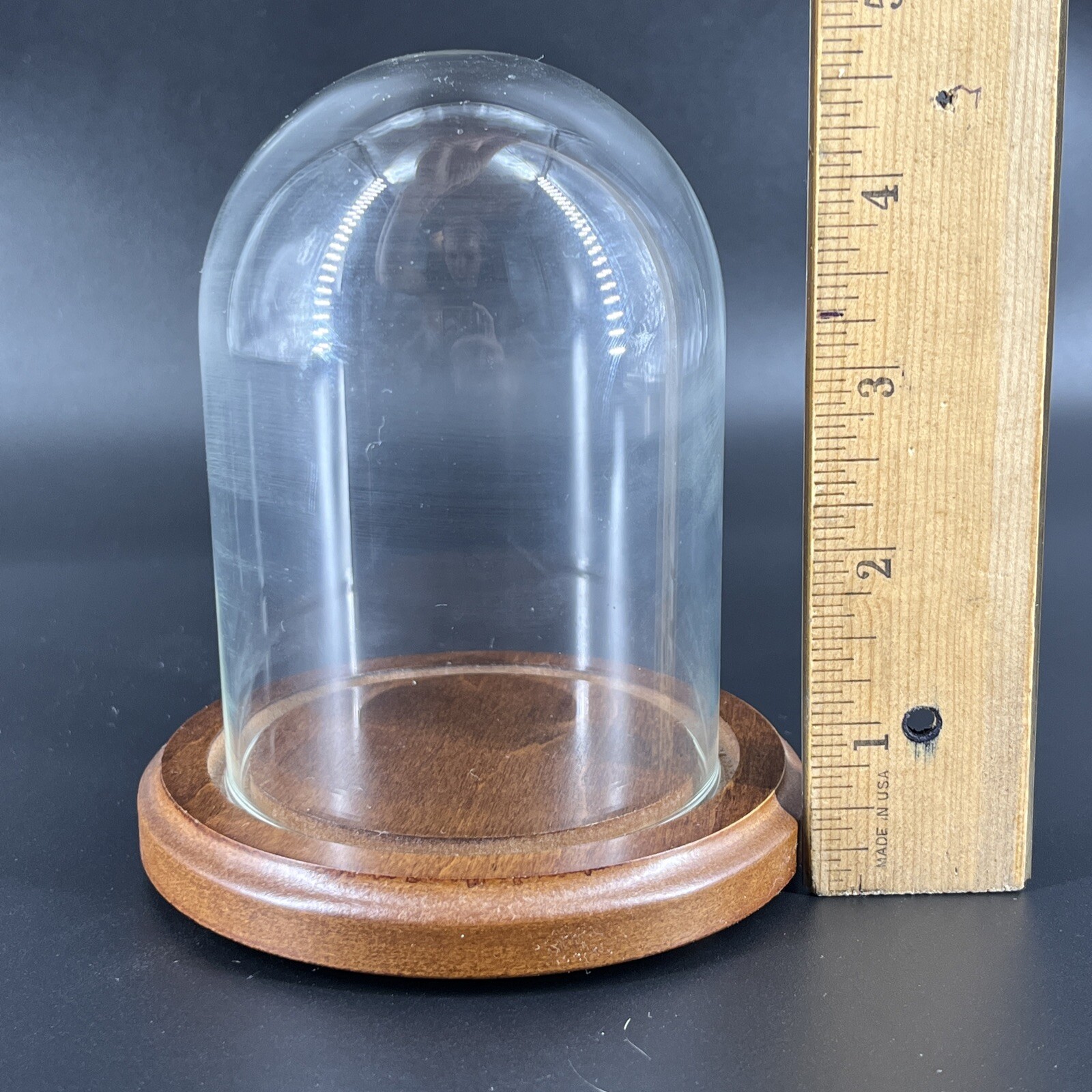 Vintage Glass Dome Wood Base Display Case Made in Taiwan Bard’s