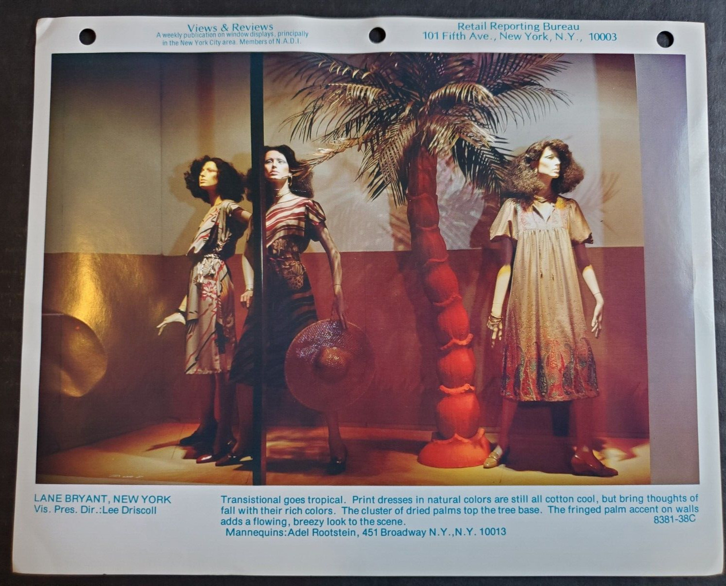 1980s LANE BRYANT NEW YORK WINDOW DISPLAY PHOTO PRINT TRANSITIONAL GOES TROPICAL