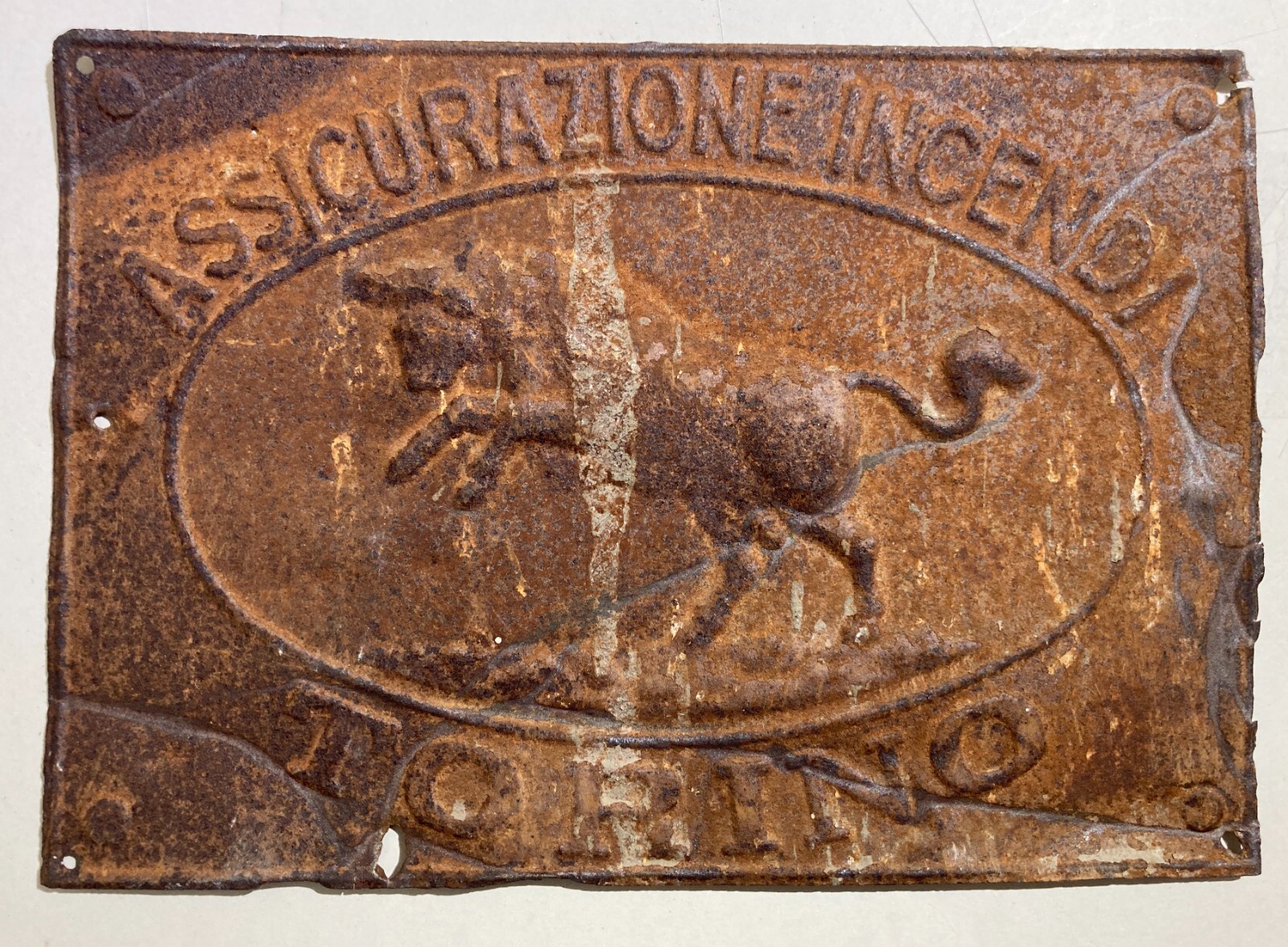TURIN-INSURANCE-FIRE INSURANCE-ANTIQUE ADVERTISING PLATE-BULL-TIN