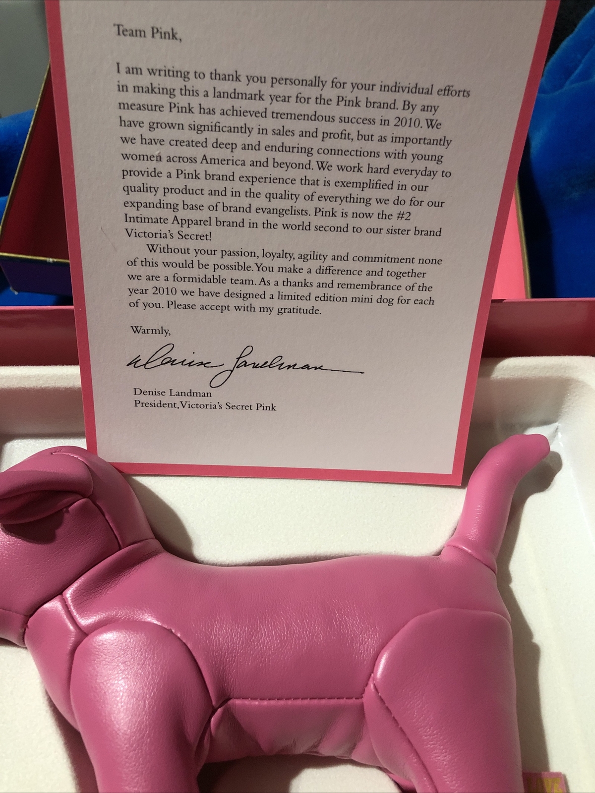VICTORIA’S SECRET PINK LIMITED EDITION BILLION DOLLAR DOG BOX LETTER RIBBON