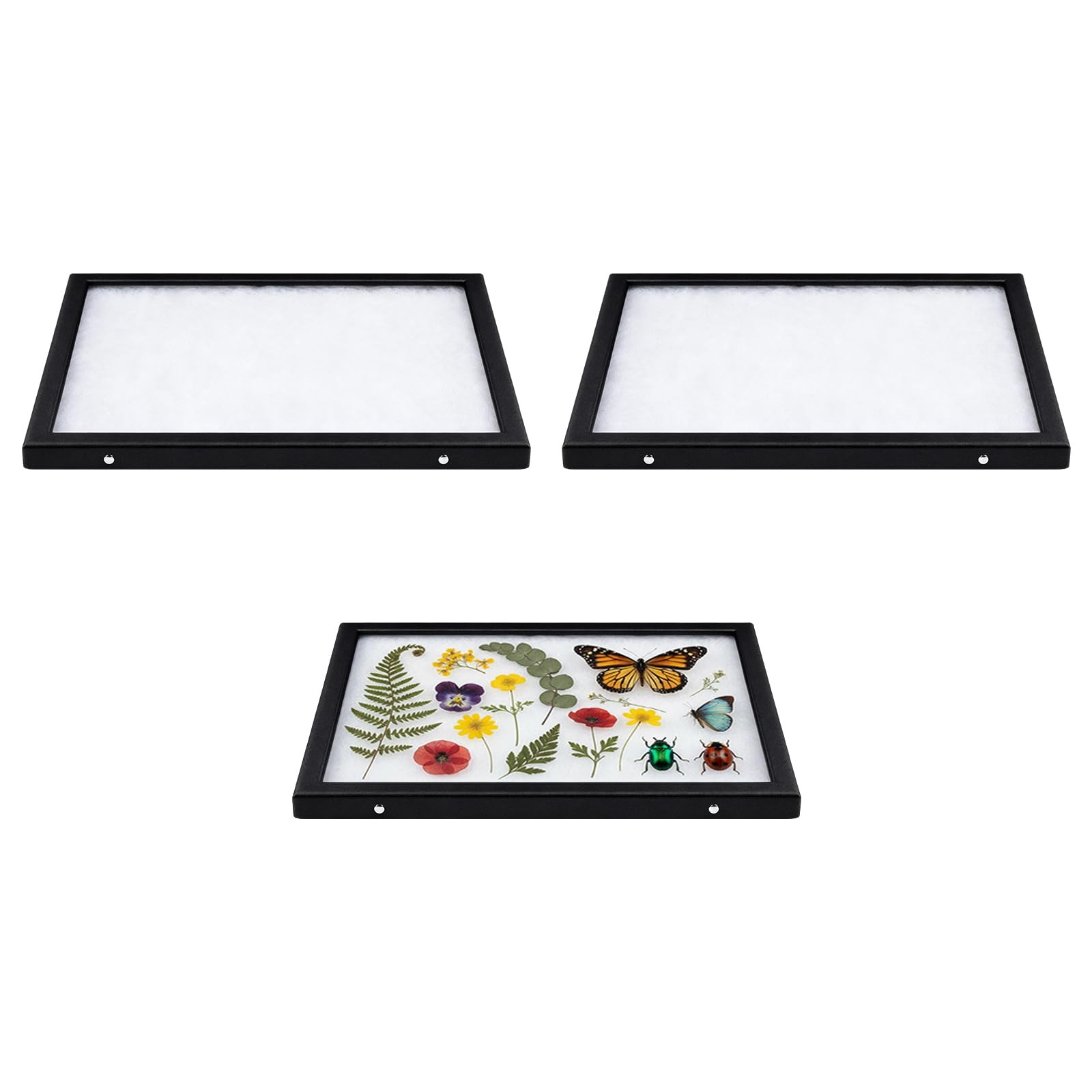 Colingmill 6 Pack 8 x 12 x 3/4 Inch Glass 8 x 12 x ”, Transparent, Black