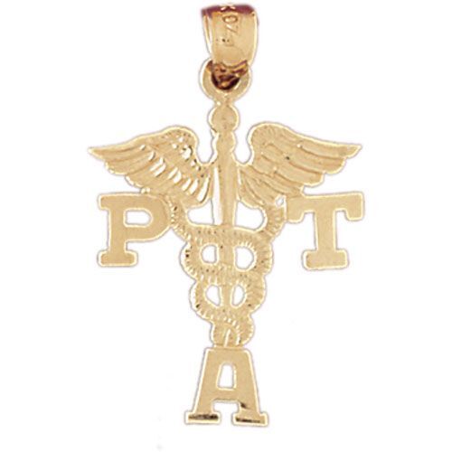 PTA Medical Sign Charm Pendant 14k Gold