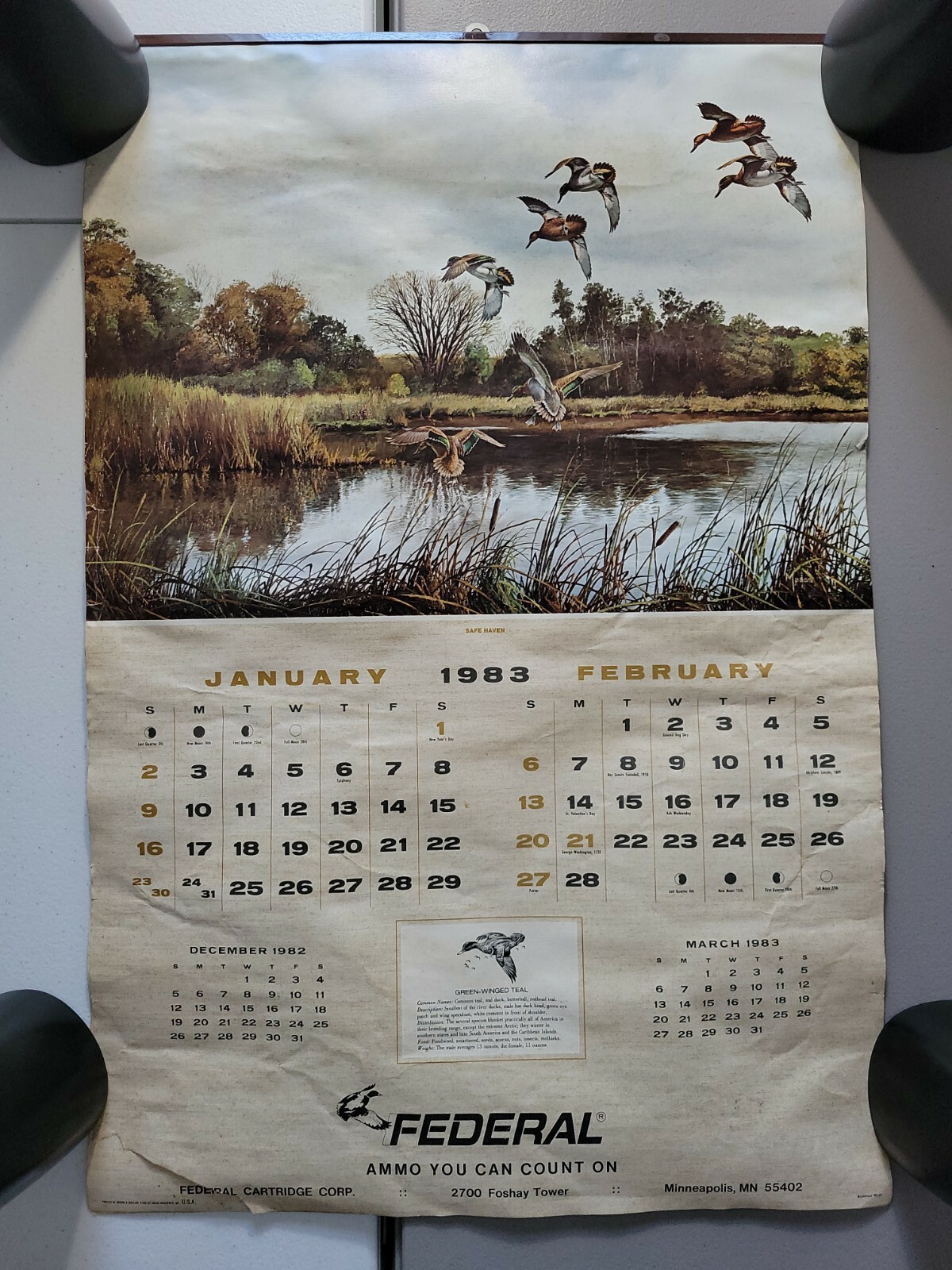 Vintage Federal Ammo Co. Hunting Gun Store Advertising Calender 1983