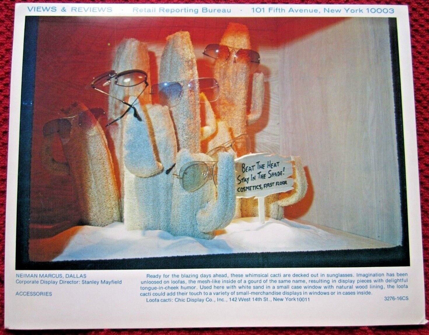 1976 NEIMAN MARCUS DALLAS TEXAS STORE WINDOW DISPLAY CACTI PHOTOGRAPH PRINT #450