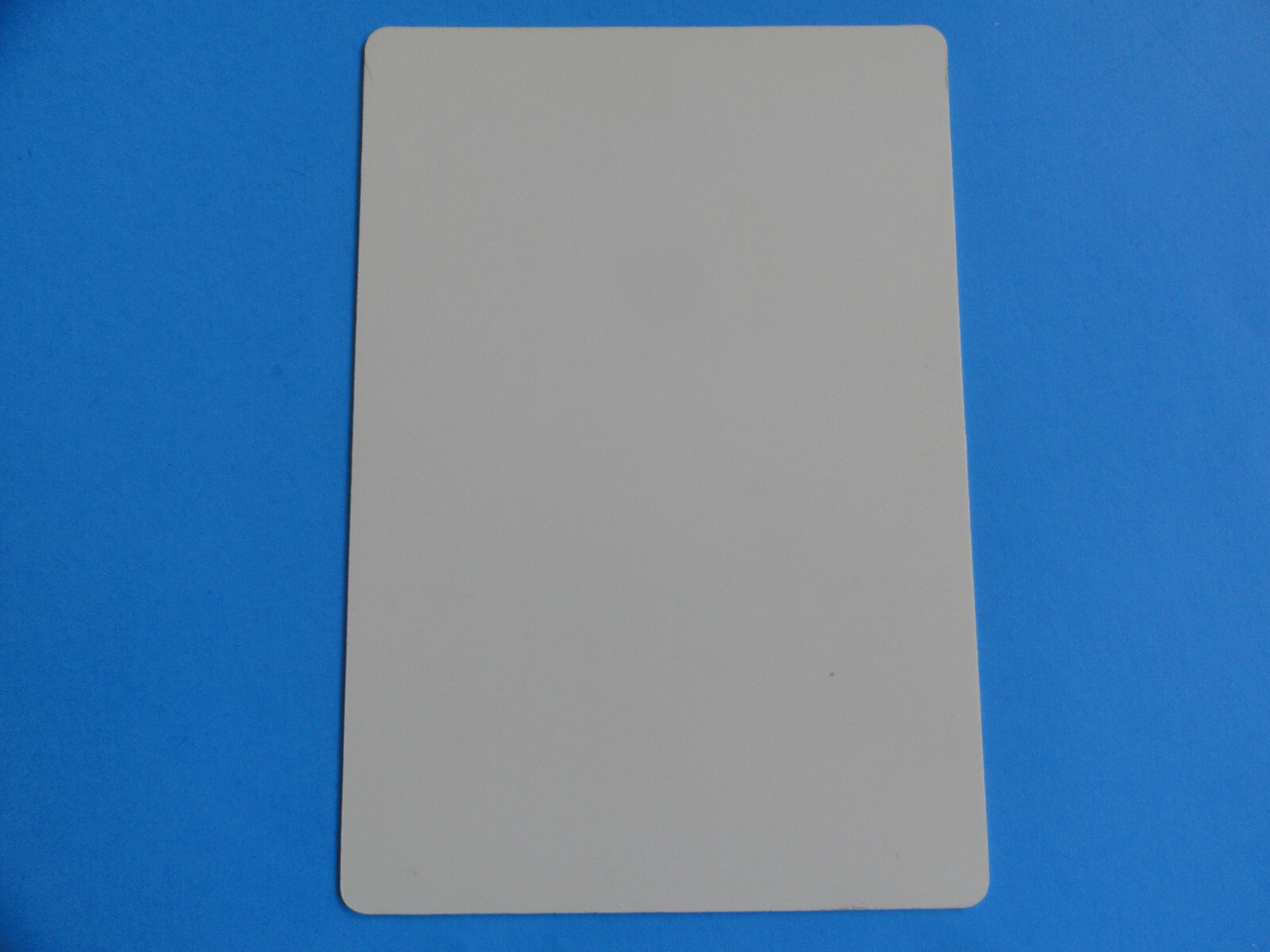 BECAUSE OF WINN-DIXIE – BLOCKBUSTER VIDEO BACKER CARD 5″X8″