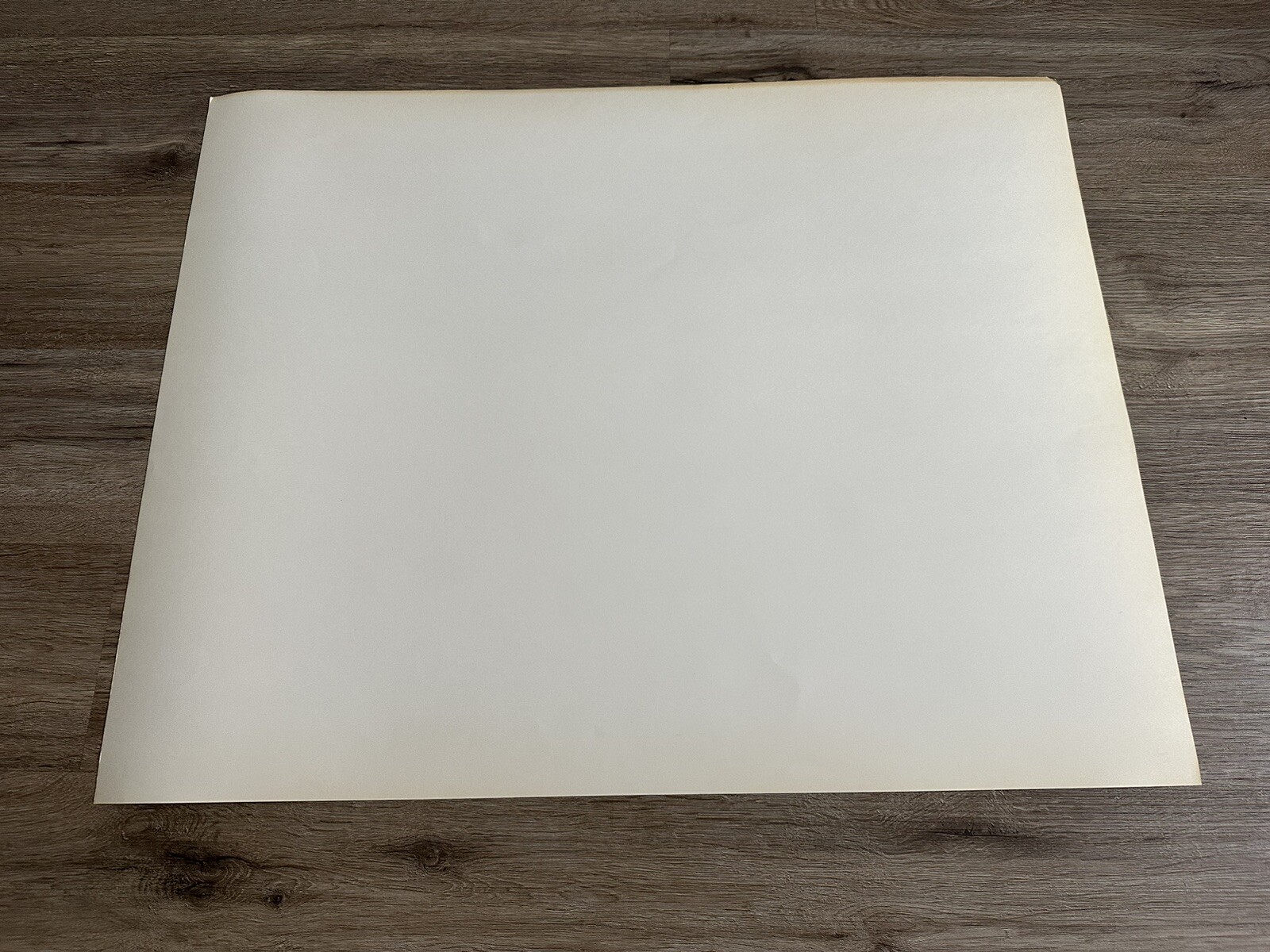 Vintage Fredericks Of Hollywood Sexy Lingerie Model Store Display Poster #23