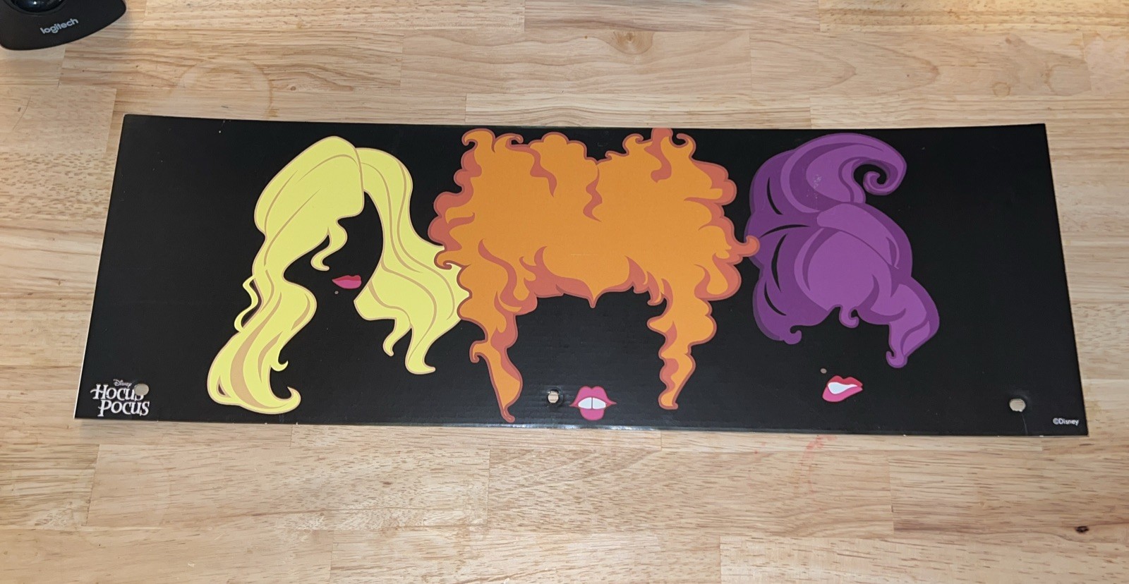 2024 Spirit Halloween Display End Cap 24″ x 8″ – Hocus Pocus