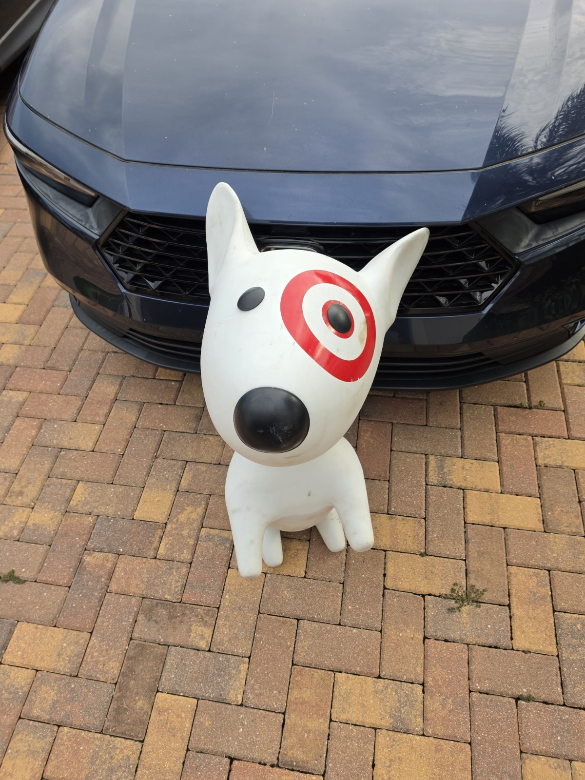 Bullseye Target Dog Mascot Giant Statue Store Display Mannequin Collectible READ
