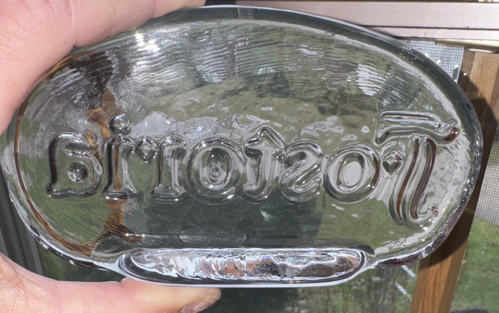 RARE Clear Fostoria Glass Store~Collector~Advertising Display Counter Sign
