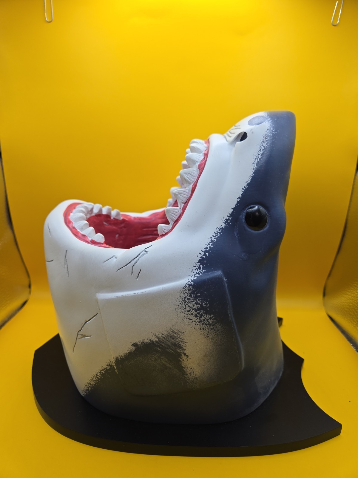Slim Jim Great White Shark Display
