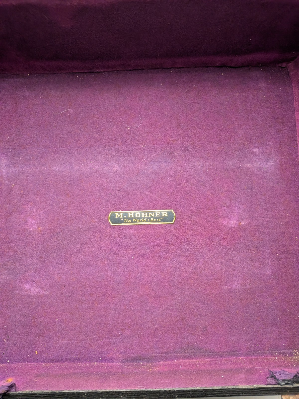 Vintage M. Hohner World Renowned Harmonica Wood Display Accordion Case