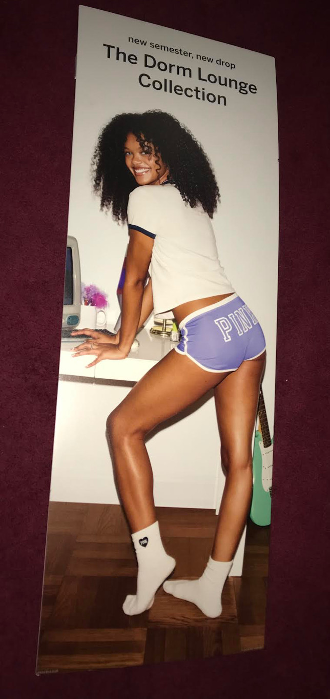 Victoria’s Secret Pink Store Display 4 FT TALL RARE HTF Dorm VS Displays Stand