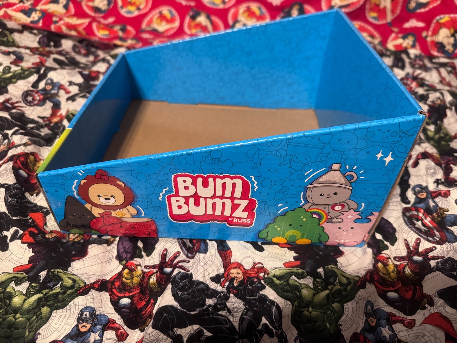 JAZWARES BUMBUMZ WIZARD OF OZ STORE DISPLAY BOX FOR COLLECTIBLES RARE NEW