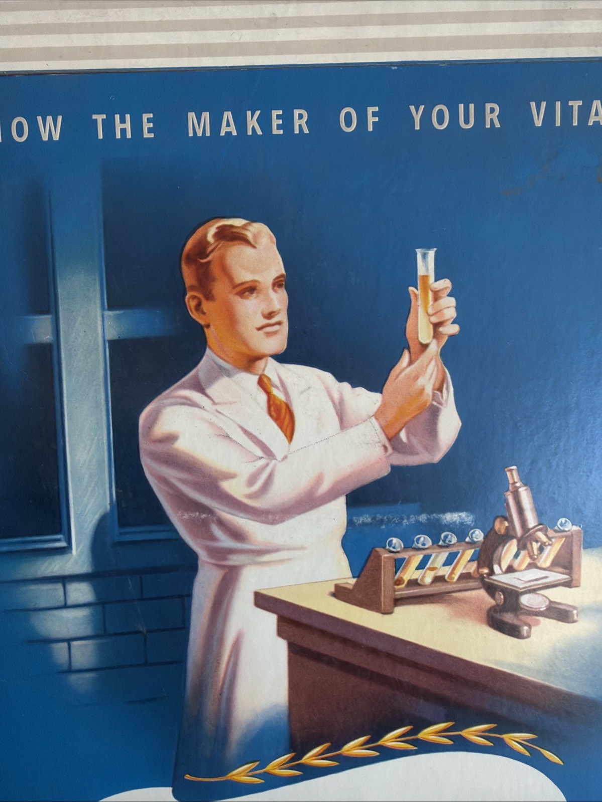 Rare Vintage 1940s Parke-Davis Vitamins General Store Cardboard Display Sign