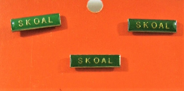 Vintage Skoal Chewing Tobacco Pin Display 12 On Card Old Stock